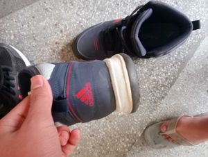 Adidas basketball Shoes