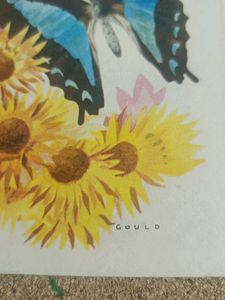 Vintage Butterfly &amp; Floral Art Print
