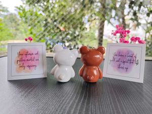 Milk and Mocha Bear Set