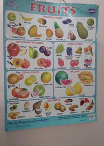 8 Big Kindergarten Charts