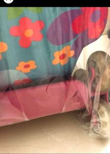 3D Beetle Kids Cabin Suitcases 18 Inches