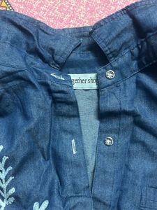 Plus Size Embroidered Denim Shirt Dress