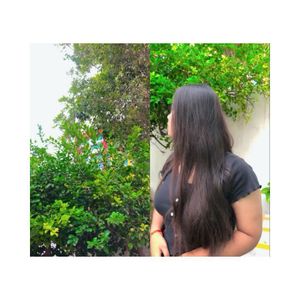 Cropped, Button Down, Scoop Neck Black Tee