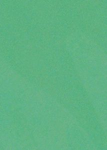 Cricket Plastic Bat