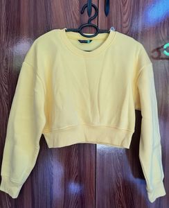 Tokyo Talkies full sleeve solid sweatshirt