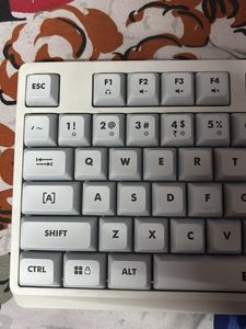 EvoFox Deathray RGB Gaming Keyboard