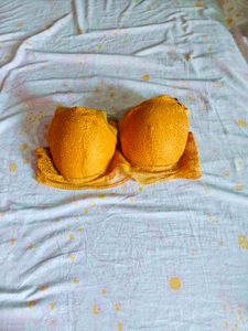 Beautiful Orange Bra With Pad