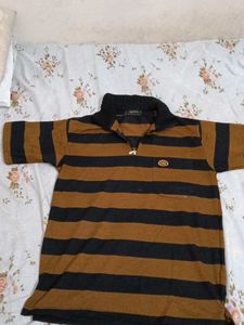 Tshirt for Men and Women