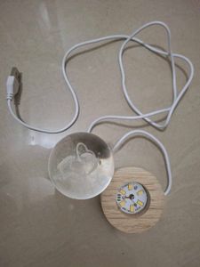 Dolphin Crystal Ball Night Light