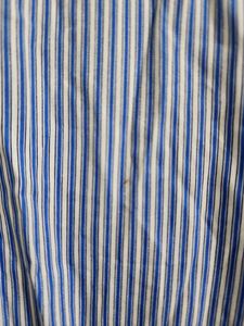Zara White And Blue Stripes Top