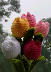 Tulip 🌷 Flower