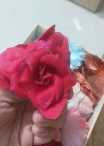 Hair Accessories