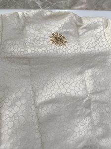 Elegant Sherwani