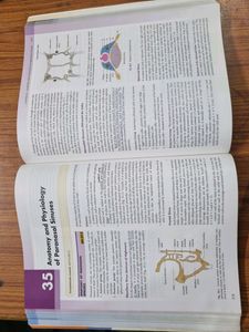 ENT Book By Dhingra 8th Edition