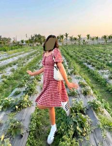 Women Checked Fit And Flare Mini Dress