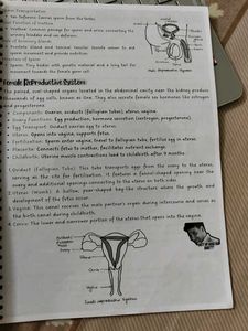Class 10 CBSE Science Book