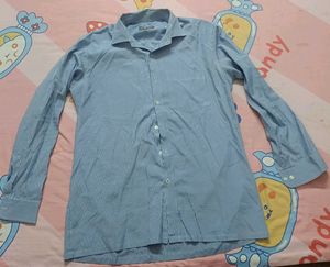 Striped Button Down Shirt