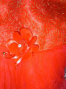 Red Tulle Dress