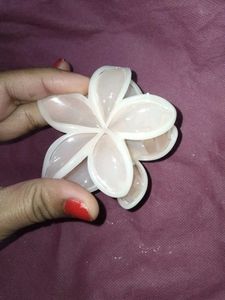 Flower Hair Clips (Set of 2)