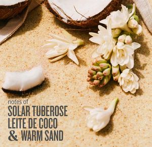 ☀️ SDJ Rio Radiance Cheirosa 87 Mist