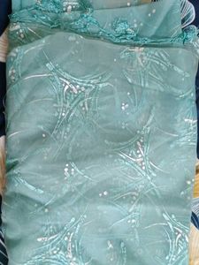 Organza Saree Farewell/College/Festive