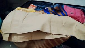 Tan Fabric Piece Sareee