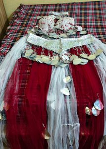 New Belly Dance Dress