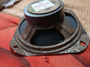 Speaker