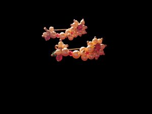 Maharashtra Press Nose Pin ( Pack Of 2 )