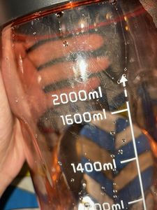 Pink 2L Water Bottle