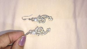 Sparkling Silver Earrings