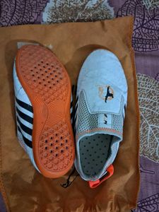 Taekwondo Met Shoes