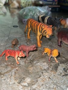 Animal Figures