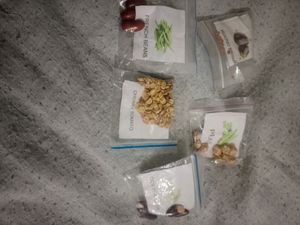 5 Vegetable Seeds