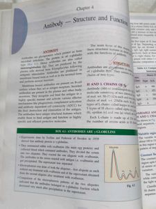Essentials of Immunology