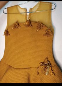 Beautiful Girl Dress