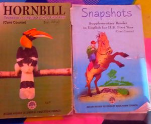 Class 11 English Book Combo