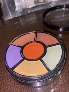 Insight Pro Concealer Palette