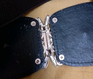 Combo of elastic belts