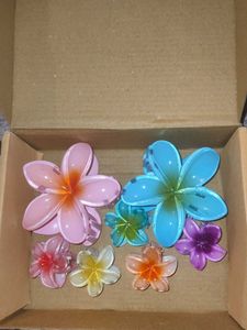 2Flower Hair Clips(1 free gift🎁 )