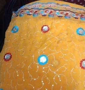 Brand New Saree