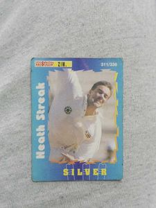 Big Fun Collection Cricket Cards From 1997