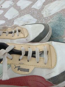 Puma Sneakers - Casual Style