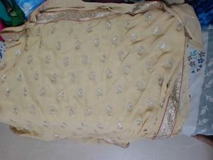 Elegant Embellished Saree