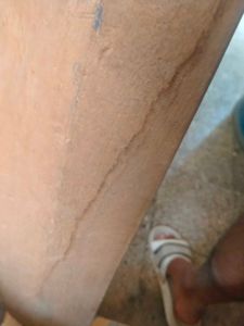 Carrom Board with Cricket Bat