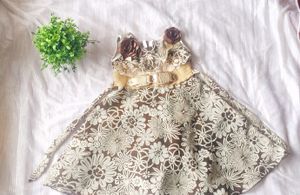 cream with coffee colour frokk