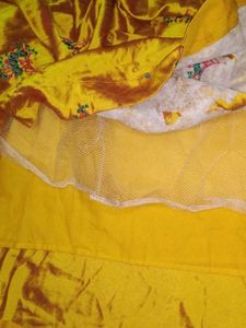 Embroidered Lehenga Choli Set