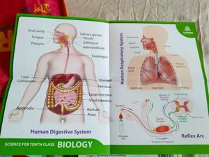 CBSE Class 10 Biology Book By S Chand