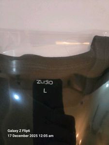 burberry,zara,zudio,polo,hugo boss shirt