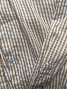 Striped Button-Down Shirt